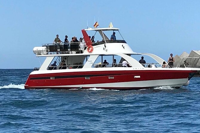 Tenerife Los Cristianos: Whale and Dolphin Eco-Yacht and Swim Stop - Timing tips for better whale and dolphin odds on Tenerife
