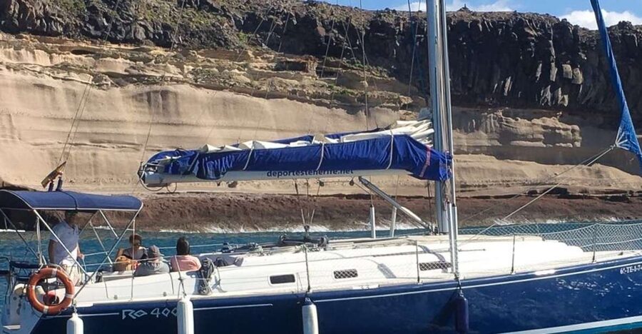 Tenerife: Luxury Private Whale & Dolphin Watching Tour - Key highlights you’ll actually feel