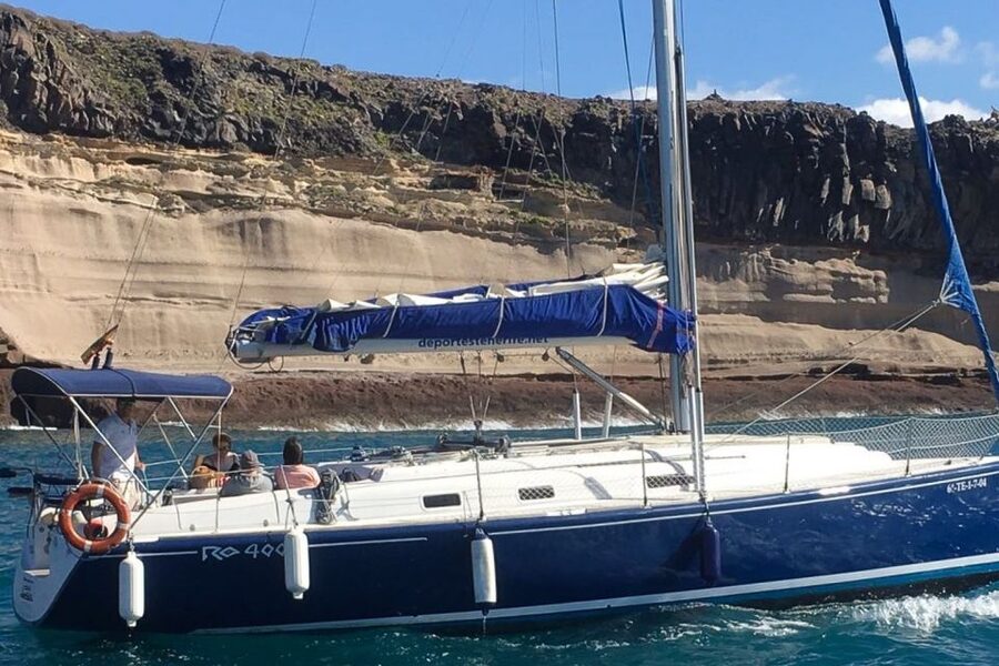 Tenerife: Luxury Private Whale & Dolphin Watching Tour - The secluded bay stop: swimming with turtles (or relaxing instead)
