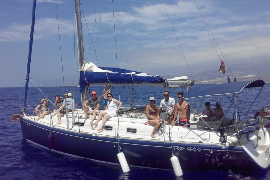 Tenerife: Luxury Private Whale & Dolphin Watching Tour - Who should book this private whale and dolphin cruise