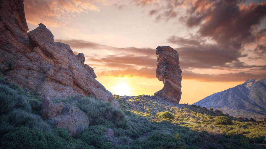 Tenerife: Teide National Park and Dolphins Sailboat Tour - A Few Things to Know Before You Go