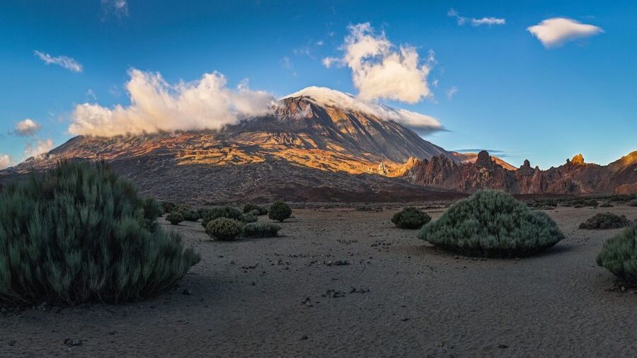 Tenerife: Teide National Park and Dolphins Sailboat Tour - Getting Started in Tenerife: Hotel Pickup and a Day That Actually Flows