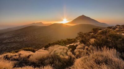 Tenerife: Teide National Park and Dolphins Sailboat Tour - Teide National Park Viewpoints: Why This Volcanic Park Feels Like Another Planet