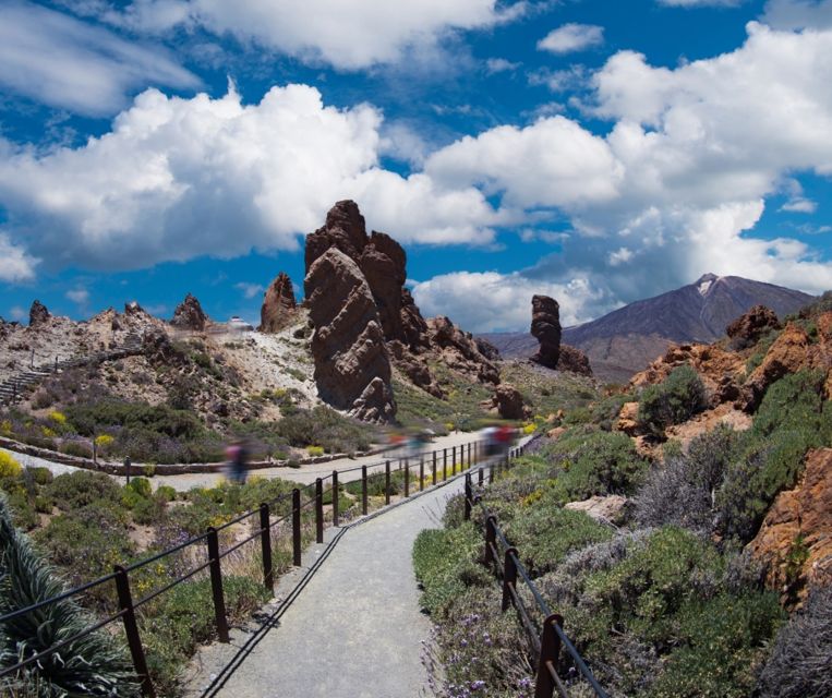 Tenerife: Teide National Park and Dolphins Sailboat Tour - Making Snorkeling Work for You (Without Turning It into a Whole Project)
