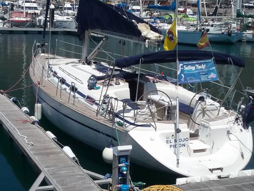 Tenerife: Teide National Park and Dolphins Sailboat Tour - Price and Value for $218: What You Get (and What’s Extra)