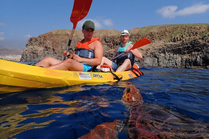 Tenerife: Turtle & Dolphin Kayak Tour with Snorkel & Wetsuit - What you wear and what you carry (and what you forget at home)