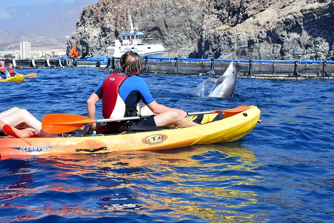 Tenerife: Turtle & Dolphin Kayak Tour with Snorkel & Wetsuit - Wild dolphins: what you can hope for and how to enjoy the ride either way