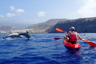 Tenerife: Turtle & Dolphin Kayak Tour with Snorkel & Wetsuit - Paddling the west coast: Guaza Mountains views and real motion