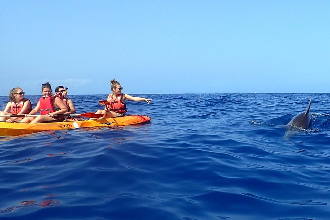 Tenerife: Turtle & Dolphin Kayak Tour with Snorkel & Wetsuit - The snorkeling stop: clear water is a plus, but the kit helps either way