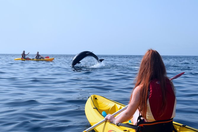 Tenerife: Turtle & Dolphin Kayak Tour with Snorkel & Wetsuit - Guides, photos, and the little details that make it feel worth $42.33