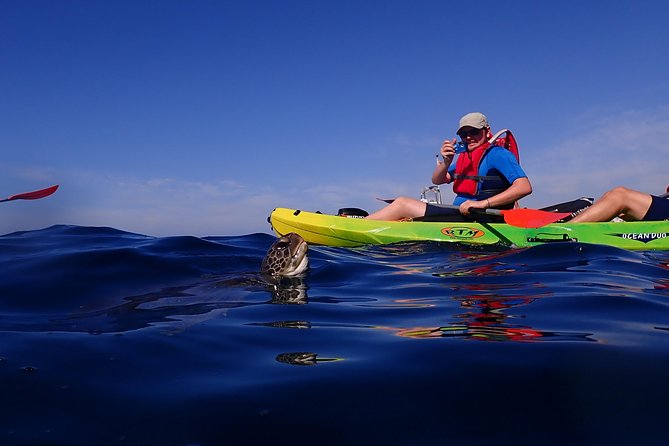 Tenerife: Turtle & Dolphin Kayak Tour with Snorkel & Wetsuit - Weather and sea conditions: how to plan for a better day on Tenerife