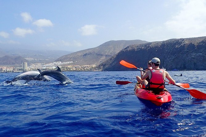 Tenerife: Turtle & Dolphin Kayak Tour with Snorkel & Wetsuit - Paddling the west coast: Guaza Mountains views and real motion