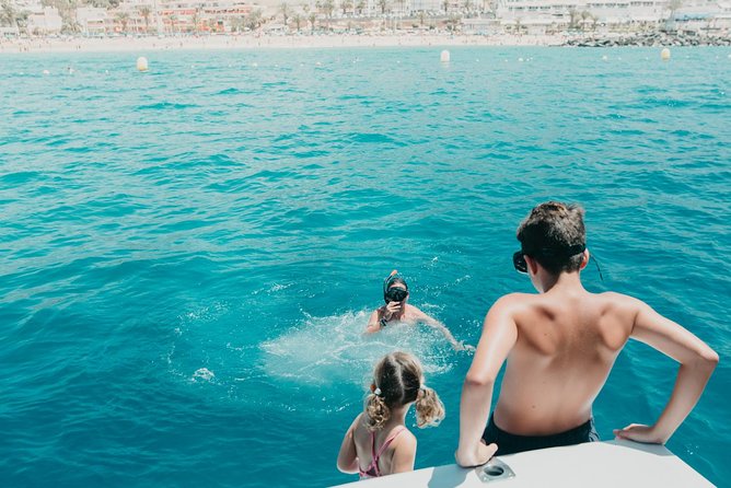 Tenerife: Whale and dolphin watching - White Dreams in Puerto Colón de Adeje: not a cattle-call