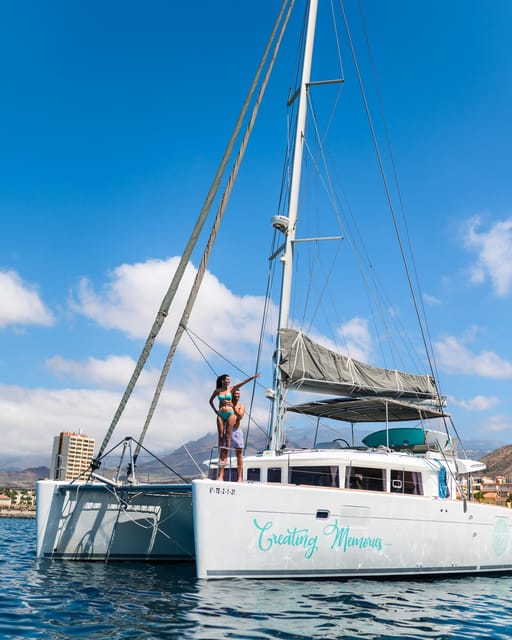 Tenerife: Whale and Dolphin Watching Boat Tour - Key Things I’d Plan Around (Before You Book)