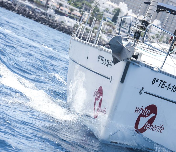 Tenerife: Whale and Dolphin Watching Tour by Sailboat - Price and value: what $69 buys you (and what it doesn’t)