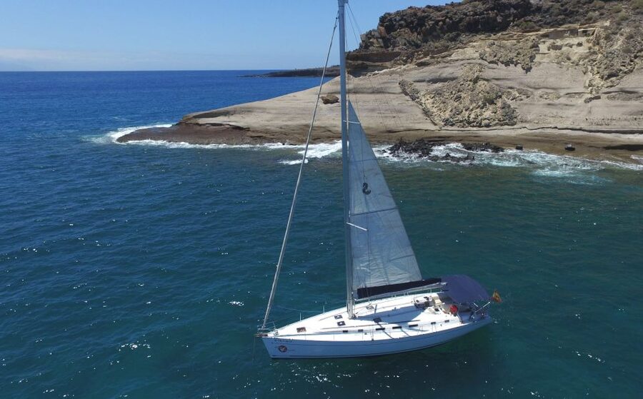 Tenerife: Whale and Dolphin Watching Tour by Sailboat - 3 Hours Off Costa Adeje: What the experience feels like