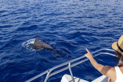 Tenerife: Whale and Dolphin Watching Tour by Sailboat - Getting on board at Puerto Colón Dock 8 (and why early matters)