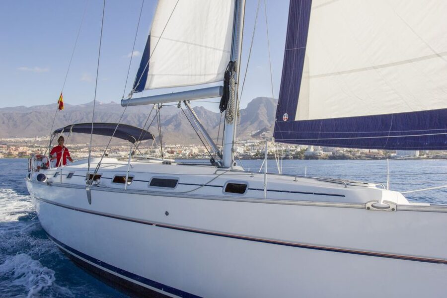 Tenerife: Whale and Dolphin Watching Tour by Sailboat - Whale and dolphin spotting time: a deck-first experience