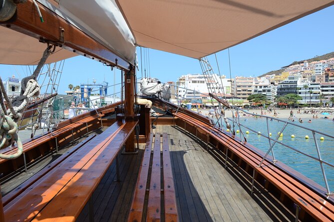 Tenerife: Whale and Dolphin Watching with a Plunge - Price and value: is $30.25 worth it?