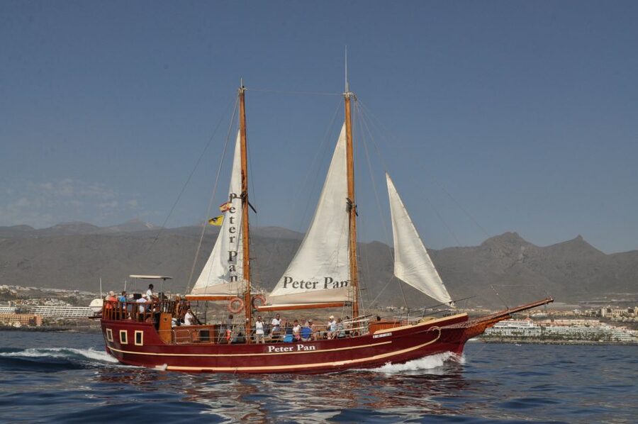 Tenerife: Whale & Dolphin Watching Cruise with Swim Stop - Value for Money: Why the Price Can Make Sense Here