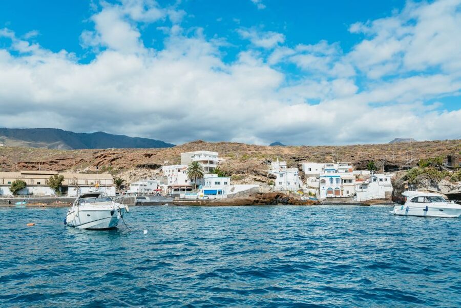Tenerife: Whale & Dolphin Watching with Drinks and Snacks - What to bring so you don’t feel stuck onboard