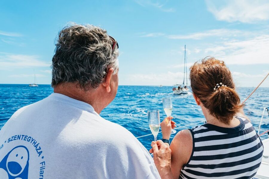 Tenerife: Whale & Dolphin Watching with Drinks and Snacks - The turtle snorkeling stop in a secluded bay