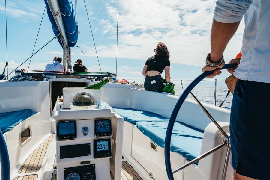 Tenerife: Whale & Dolphin Watching with Drinks and Snacks - The crew’s approach: respect, safety, and questions that get answered