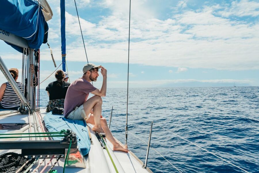 Tenerife: Whale & Dolphin Watching with Drinks and Snacks - Price and value: is $77 worth it?