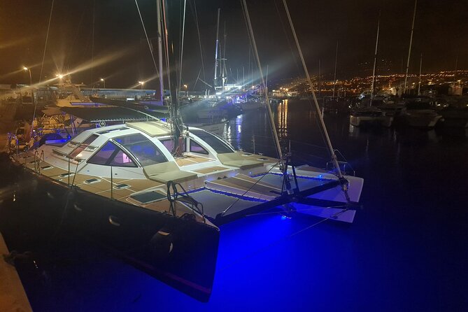 Tenerife Whales and Dolphins Watching Experience in Catamaran - Costa Adeje Whale Watching: Why This Catamaran Sets the Right Mood