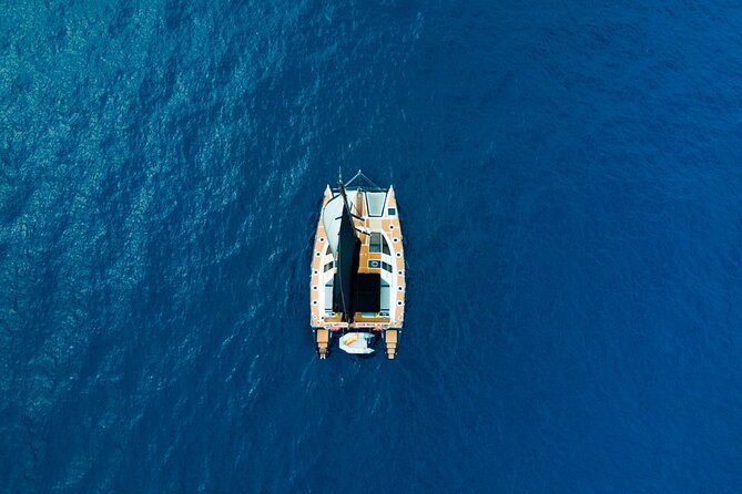 Tenerife Whales and Dolphins Watching Experience in Catamaran - What’s Actually Onboard: Catering That Helps You Stay Present