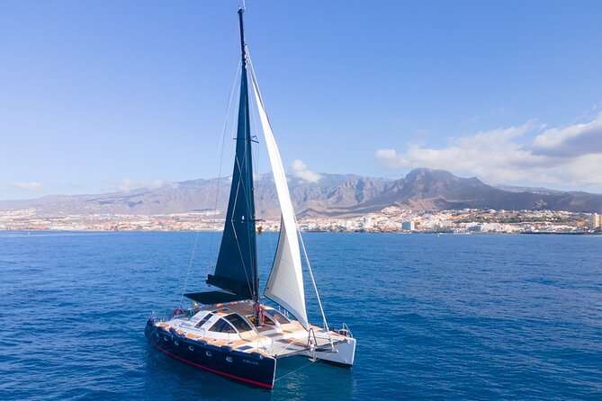 Tenerife Whales and Dolphins Watching Experience in Catamaran - Price and Value: Why $68.98 Can Feel Fair (If You Want This Format)