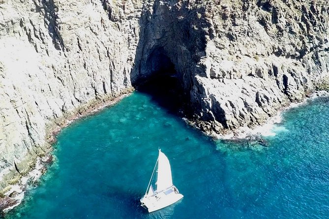 Tenerife Whales and Dolphins Watching Experience in Catamaran - Who This Trip Fits Best (And Who Might Want to Think Twice)