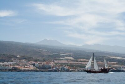 Tenerife : Whales and Dolphins with Food and Bath in Los Gigantes - Getting to Puerto Colón: pickup timing and what to plan for