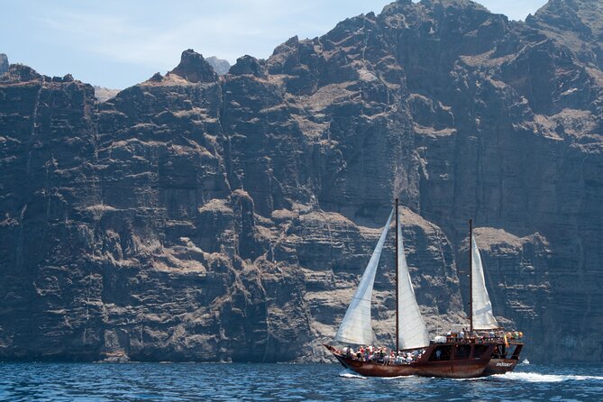 Tenerife : Whales and Dolphins with Food and Bath in Los Gigantes - Los Gigantes anchorage and the swim: what makes the stop special