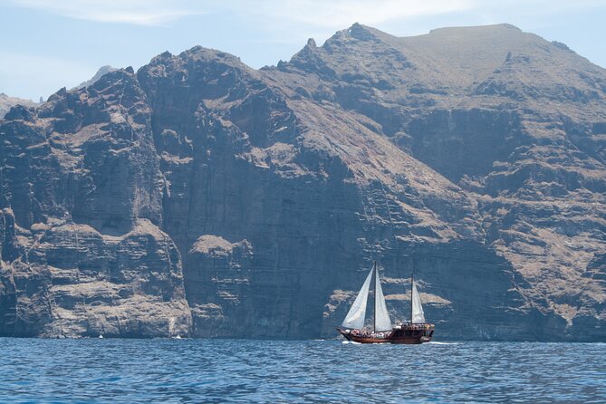 Tenerife : Whales and Dolphins with Food and Bath in Los Gigantes - The return trip: enjoying the southwest coast on the crossing
