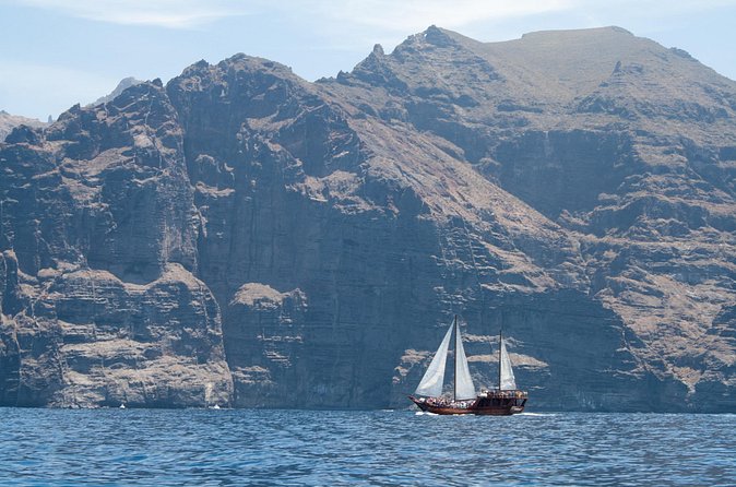 Tenerife : Whales and Dolphins with Food and Bath in Los Gigantes - Price and value: is this worth about $66 per person?