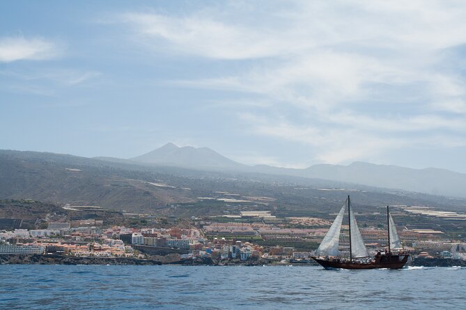 Tenerife : Whales and Dolphins with Food and Bath in Los Gigantes - Getting to Puerto Colón: pickup timing and what to plan for