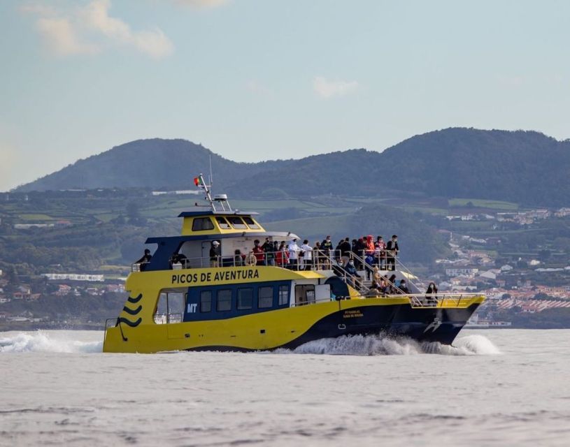 Terceira: Half-Day Dolphin and Whale Watching Tour - The Coastline Break: Ilhéu das Cabras and the Island’s Geology