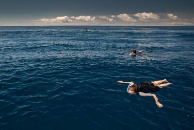 Terceira Island: Swimming with Wild Dolphins | Natural Habitat - From Spotter to Swim: How the Search and Water Time Works