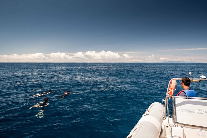 Terceira Island: Swimming with Wild Dolphins | Natural Habitat - Snorkeling Equipment and Swim Sessions: What You Should Expect