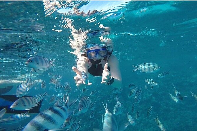 The Dolphin House Royal Sea Trip Adventure in Hurghada - Price and value: how $15 can still add up to a full day