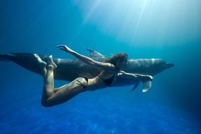 The only Natural Space Dolphin Encounter in Cabo Optional Pickup! - Key Things I’d Focus On Before Booking