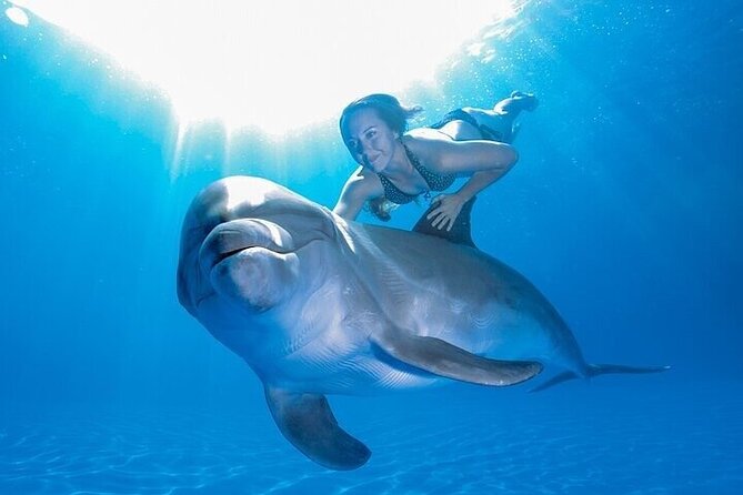 The only Natural Space Dolphin Encounter in Cabo Optional Pickup! - Stop-by-Stop: El Arco, Medano Beach, and Cabo Landmarks You’ll Recognize