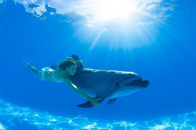 The only Natural Space Dolphin Encounter in Cabo Optional Pickup! - More Cabo Stops: Santa Maria, Pelican Rock, Marina Cabo, and the Famous Names