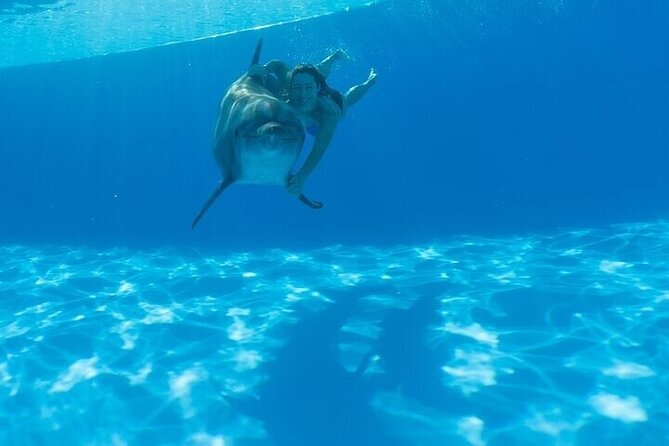 The only Natural Space Dolphin Encounter in Cabo Optional Pickup! - Weather, Timing, and How to Prepare for That One Main Hour