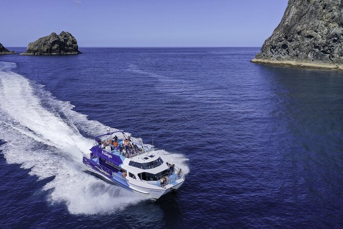 The Original Full day Bay of Islands Cruise with Dolphins - Key highlights at a glance