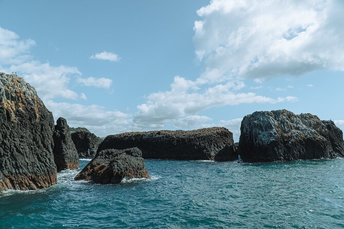 The Original Full day Bay of Islands Cruise with Dolphins - Cream Trip route, dolphins, and a beach stop that actually resets your day