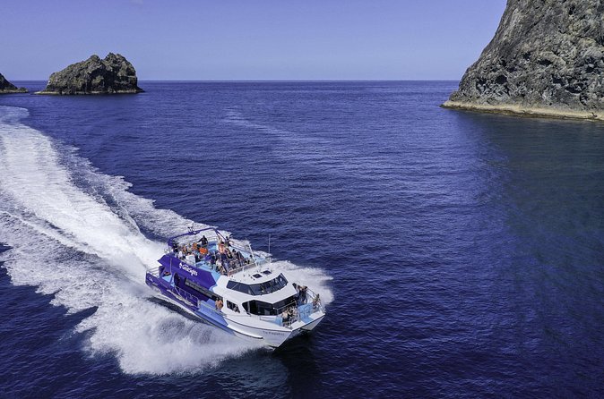 The Original Full day Bay of Islands Cruise with Dolphins - What the narration and guide style really adds to the experience