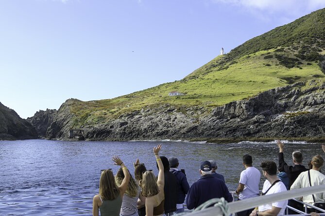 The Original Full day Bay of Islands Cruise with Dolphins - First swing: Motukokako and Piercy Island viewpoints