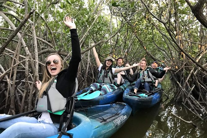 Thousand Island Mangrove Tunnel, Manatee & Dolphin Kayak Tour w/Cocoa Kayaking - Thousand Islands Mangrove Tunnel Kayak: What This Trip Feels Like on the Water